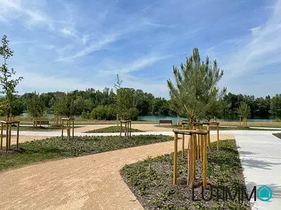 Terrain, 335 m²