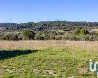 Terrain, 1 194 m²