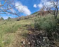 Terrain, 10 525 m²