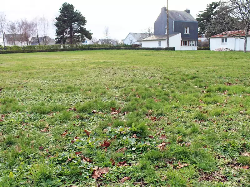 Terrain, 1 362 m²