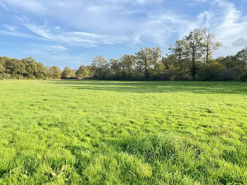 Maison, 84 m²