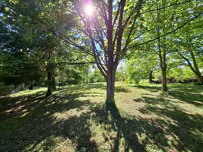 Terrain, 1 505 m²
