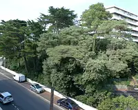 Appartement, 32,75 m²