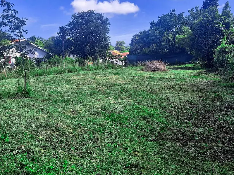 Terrain, 650 m²