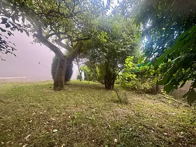Terrain, 265 m²