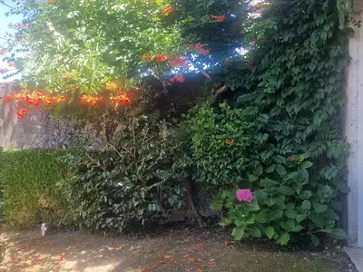 Maison, 285 m²