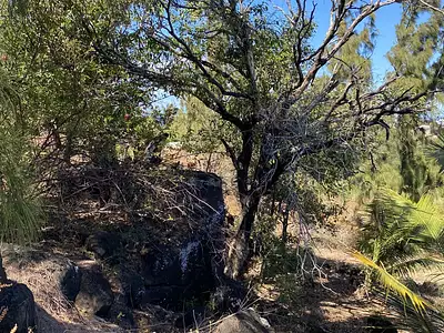 Terrain, 1 630 m²