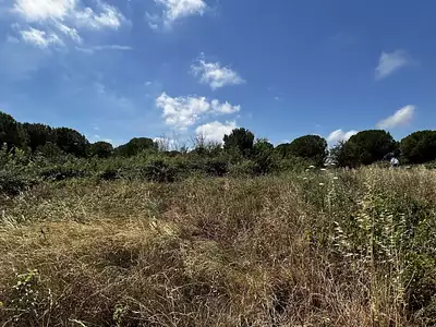 Terrain, 1 248 m²