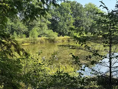 Terrain, 8 086 m²