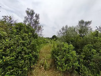 Terrain, 3 690 m²