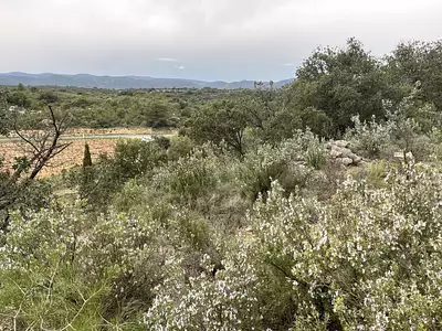 Terrain, 9 590 m²