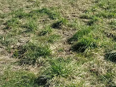 Terrain, 651 m²