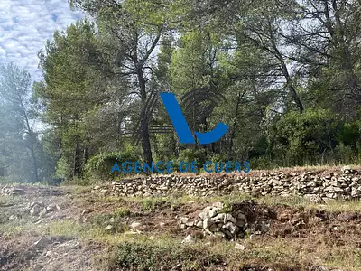 Terrain, 30 000 m²