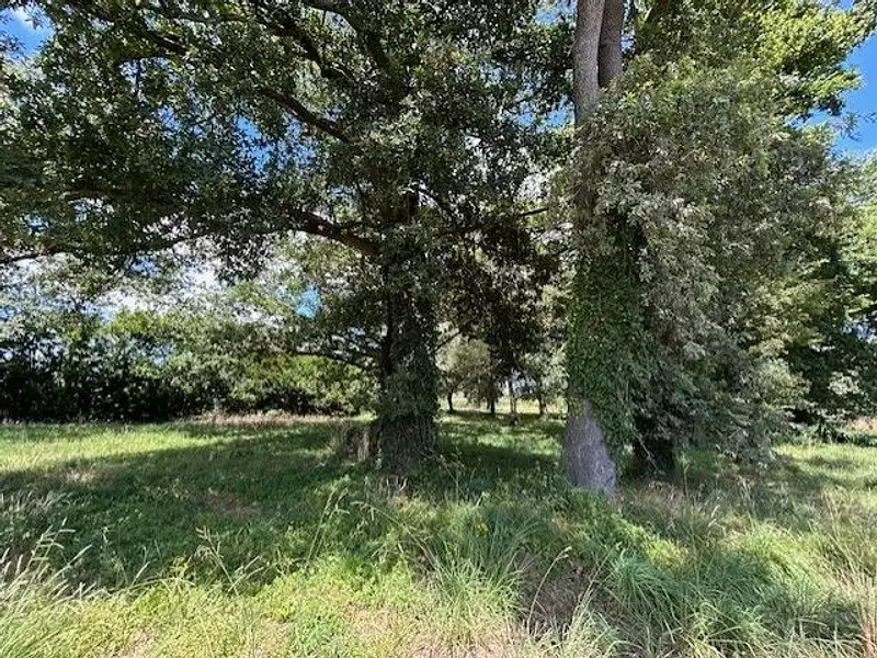 Maison, 200 m²