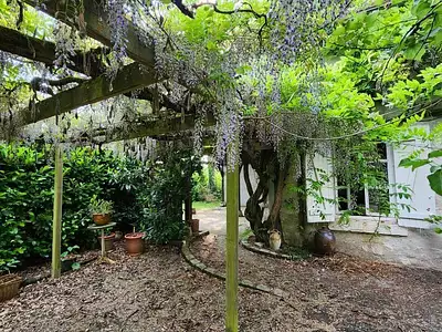 Maison, 280 m²