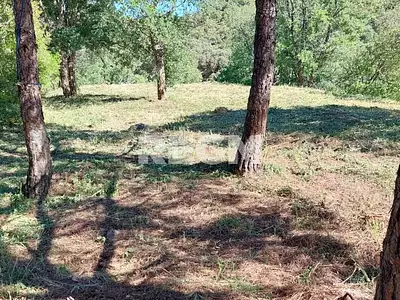Terrain, 1 550 m²