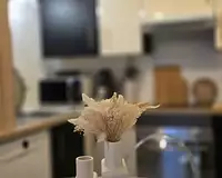 Appartement, 51,72 m²