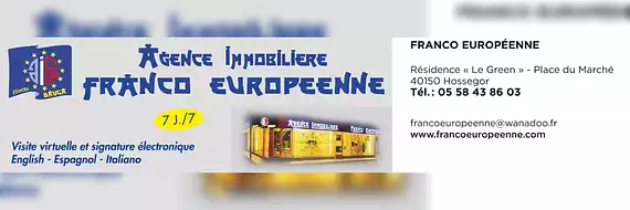 AGENCE IMMOBILIERE FRANCO EUROPEENNE