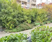 Appartement, 46,06 m²