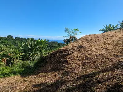Terrain, 2 500 m²