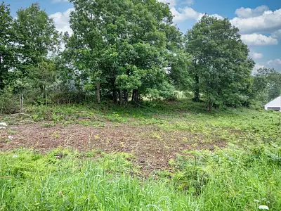 Terrain