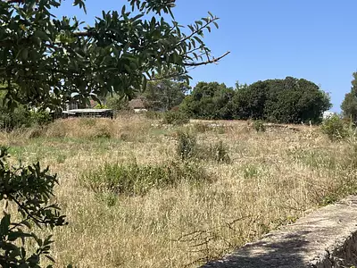 Terrain, 2 098 m²