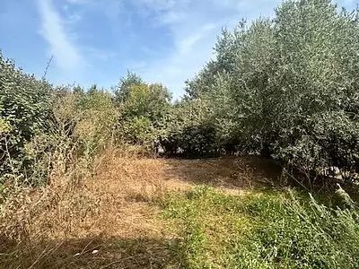 Maison, 84 m²