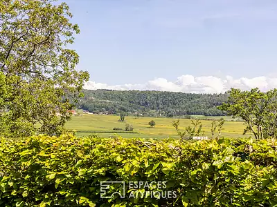 Maison, 320 m²