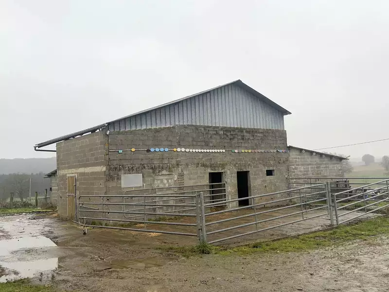 Maison, 137 m²