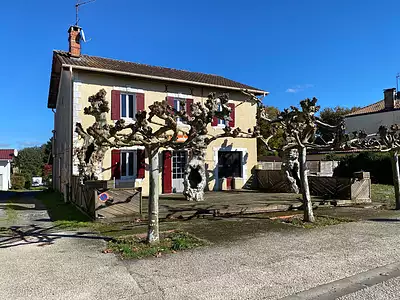 Maison, 215 m²