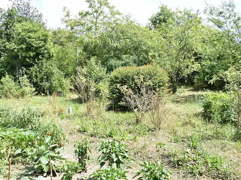 Terrain, 380 m²