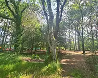 Terrain, 40 920 m²