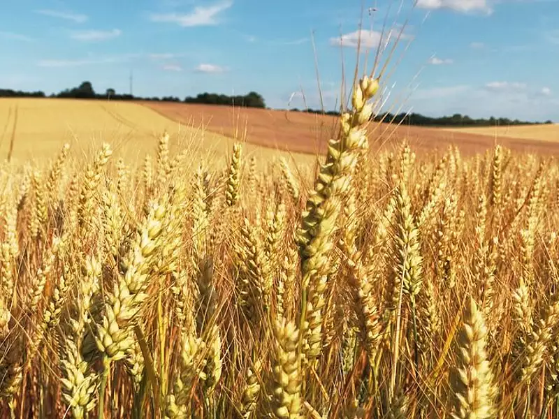 Terrain, 1 862 219 m²