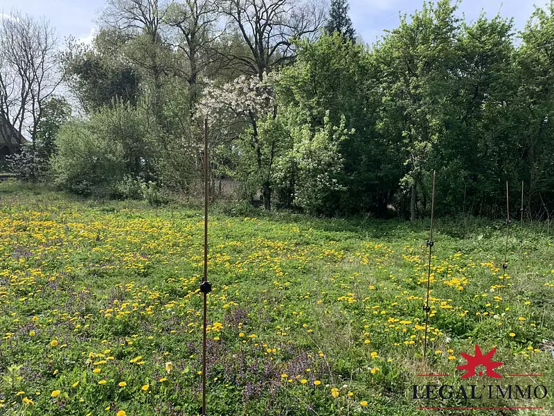 Terrain, 1 565 m²