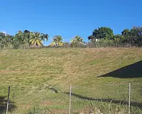 Terrain, 1 247 m²