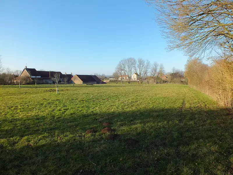 Terrain, 5 990 m²