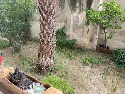 Appartement, 50,2 m²