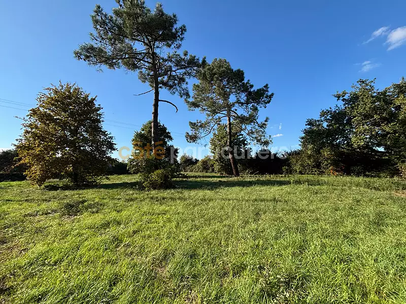 Terrain, 2 307 m²