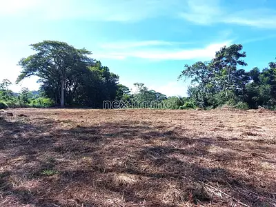 Terrain, 2 915 m²