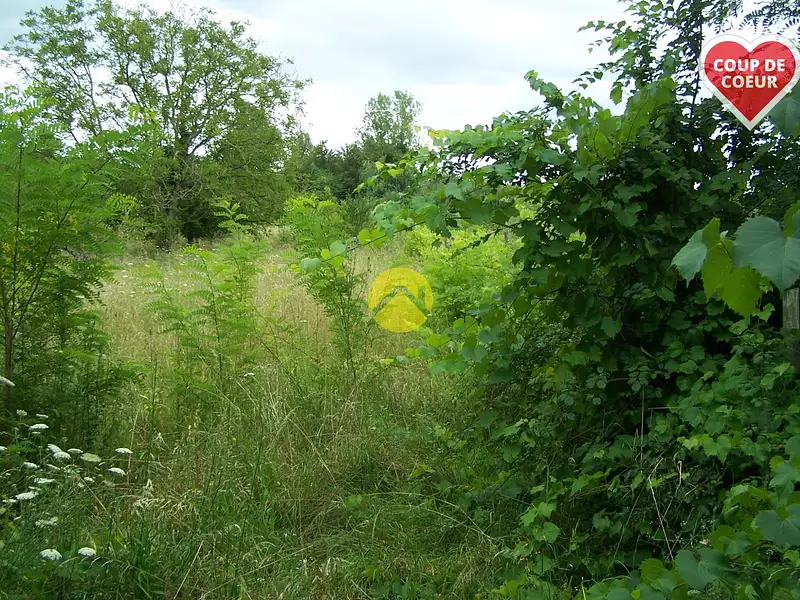 Terrain, 4 295 m²