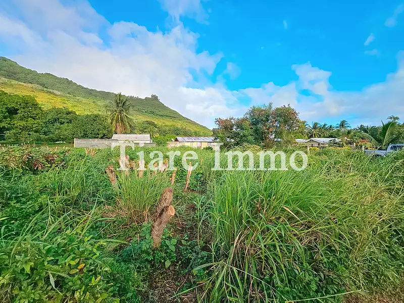 Terrain, 901 m²