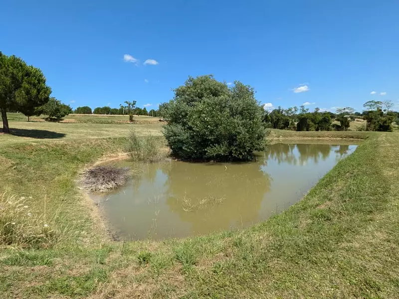 Maison, 350 m²