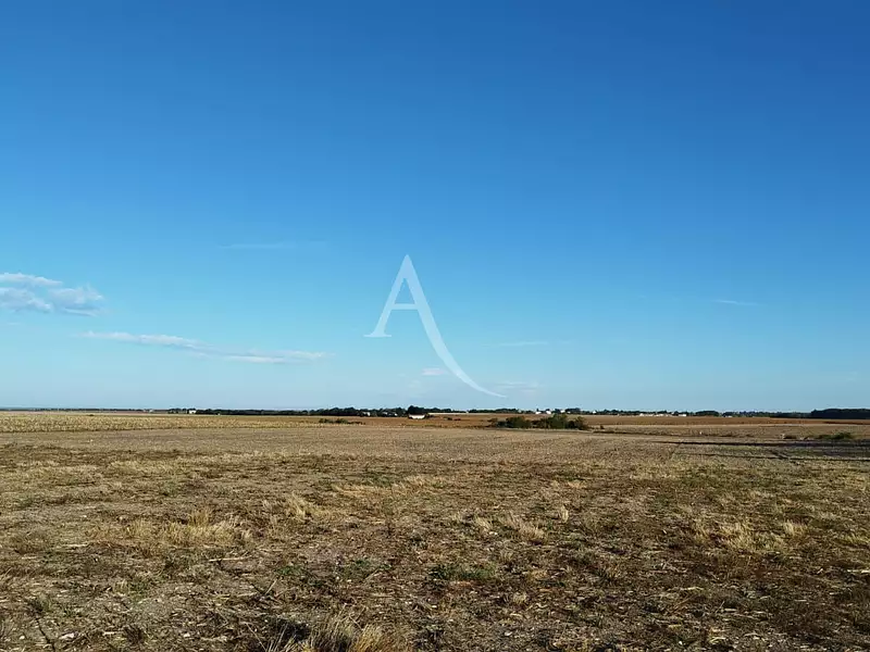 Terrain, 698 m²