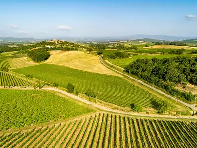 Terrain, 360 000 m²