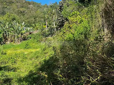 Terrain, 6 100 m²
