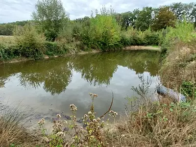 Terrain, 1 800 m²