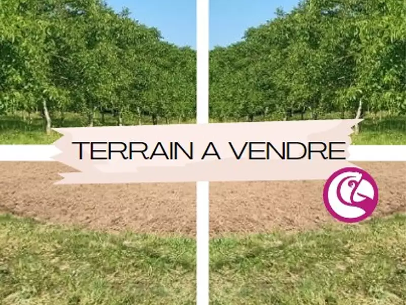 Terrain, 350 m²