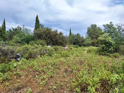 Terrain, 1 013 m²