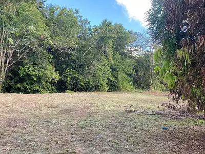 Terrain, 2 004 m²