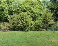 Maison, 96 m²